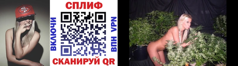 Купить где  Ялта  Конопля семена 